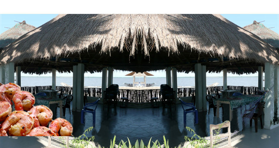 banniere Restaurant du Barracuda