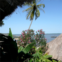 Vue chambre